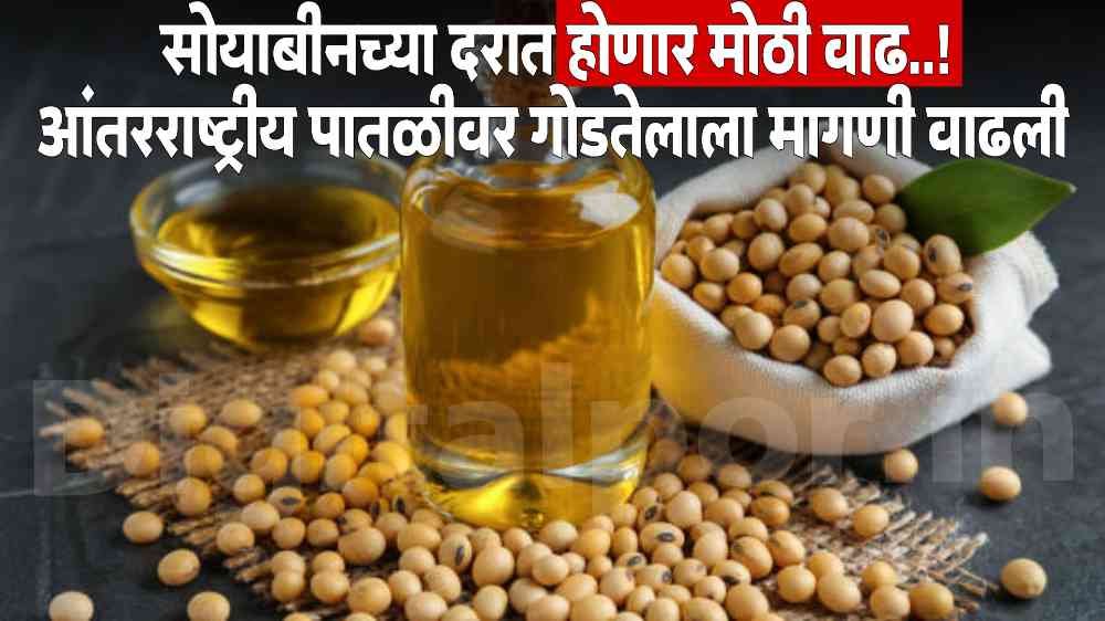 Soyabean Market Rate